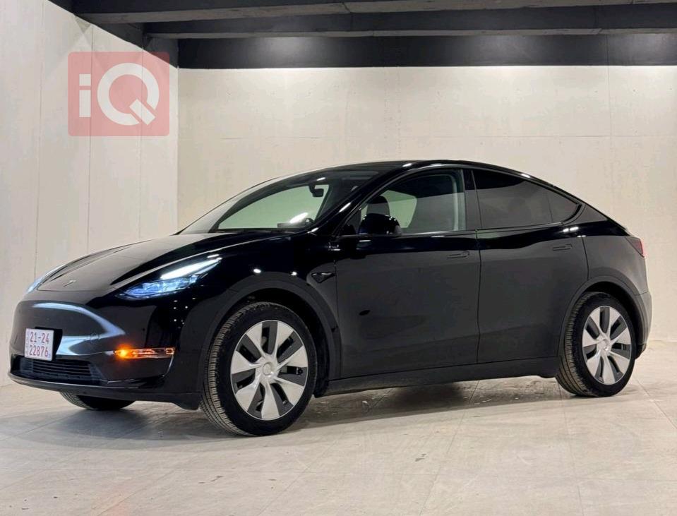 تسلا موديل Y